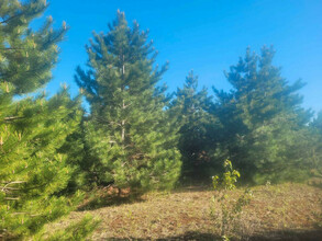 Additional property image - Lot 8, Pine Meadow Trail