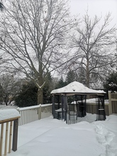 Additional property image - 1407 Lowen Drive