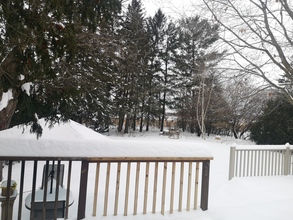 Additional property image - 1407 Lowen Drive