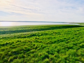 Additional property image - Lake McGregor (Executive phase)  lot 2