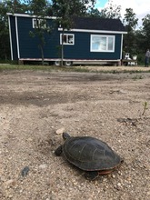 Additional property image - Road 26N 25080