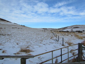 Additional property image - NE2-15-29W4