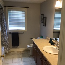 Additional property image - 379 Rintoul Crescent