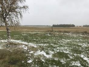 Additional property image - Range Road 263 Township 571 SW Corner 