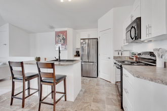 Additional property image - 31 Jamieson Avenue