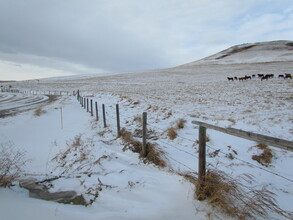 Additional property image - NE2-15-29W4