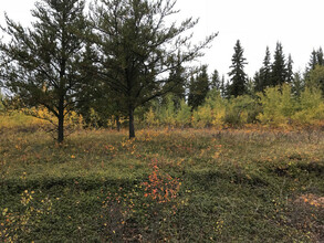 Additional property image - SE 25-59-16 W4