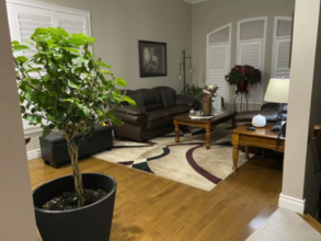 Additional property image - 37 Wicker Dr