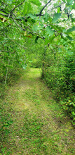 Additional property image - 27171 Gagnon Rd