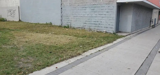 Additional property image - 486 Selkirk Ave