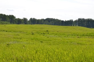 Additional property image - Foxfire Glen Lot 4 Block 2