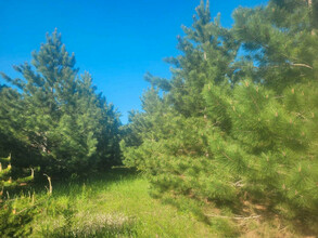 Additional property image - Lot 8, Pine Meadow Trail