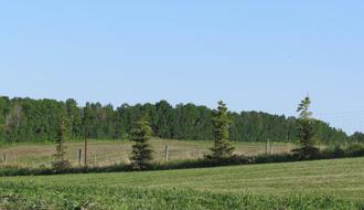 Additional property image - 3 Meadowbrook Views, 420054 RGE RD 283