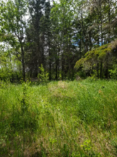 Additional property image - 13-2-35982 Sandstone Crescent